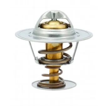 Thermostat d'eau MEAT & DORIA 92161