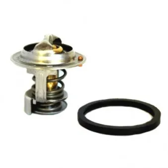Thermostat d'eau MEAT & DORIA