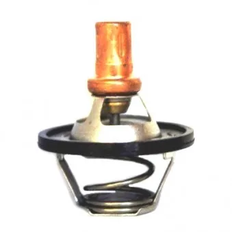 Thermostat d'eau MEAT & DORIA 92247