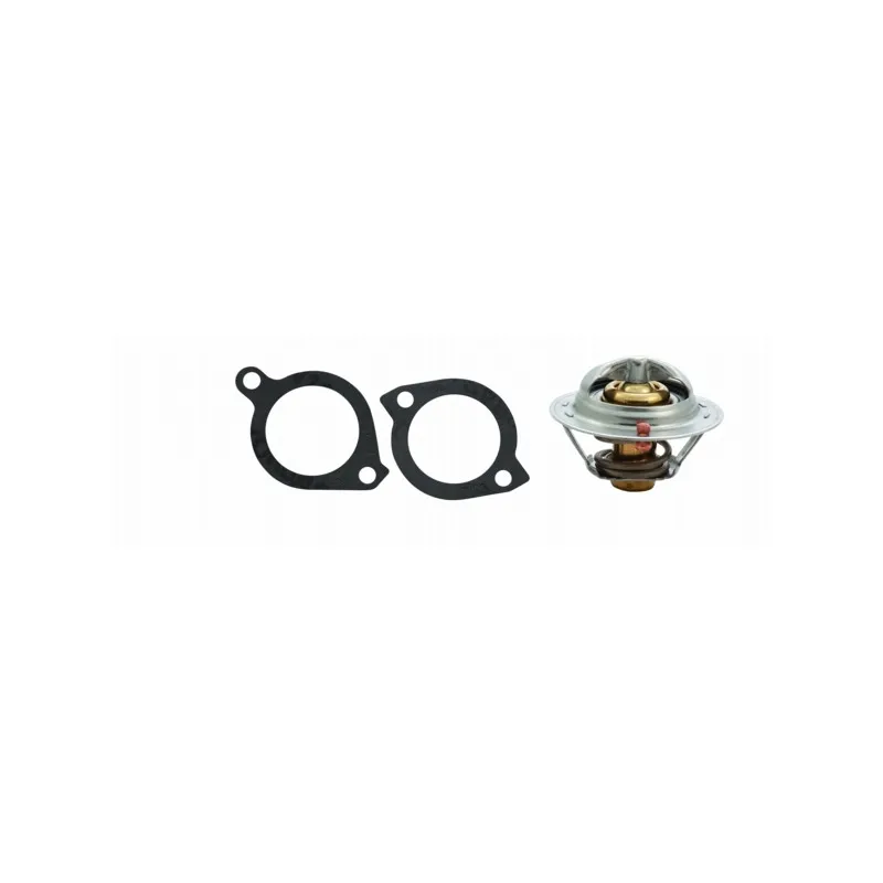 Thermostat d'eau MEAT & DORIA 92311