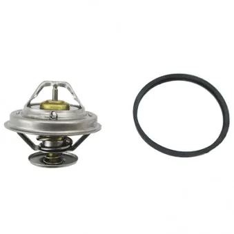 Thermostat d'eau MEAT & DORIA 92336