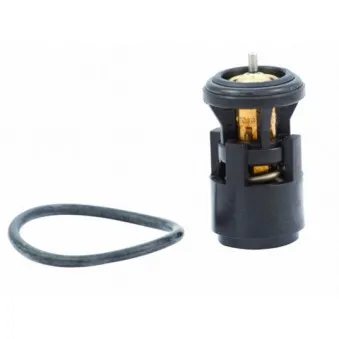 Thermostat d'eau MEAT & DORIA