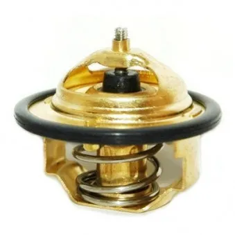 Thermostat d'eau MEAT & DORIA 92356