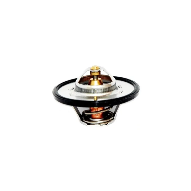 Thermostat d'eau MEAT & DORIA 92377