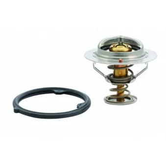 Thermostat d'eau MEAT & DORIA 92412