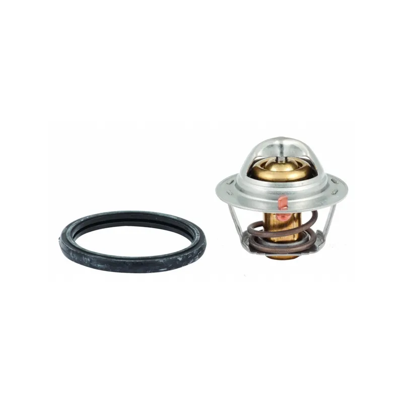 Thermostat d'eau MEAT & DORIA 92433