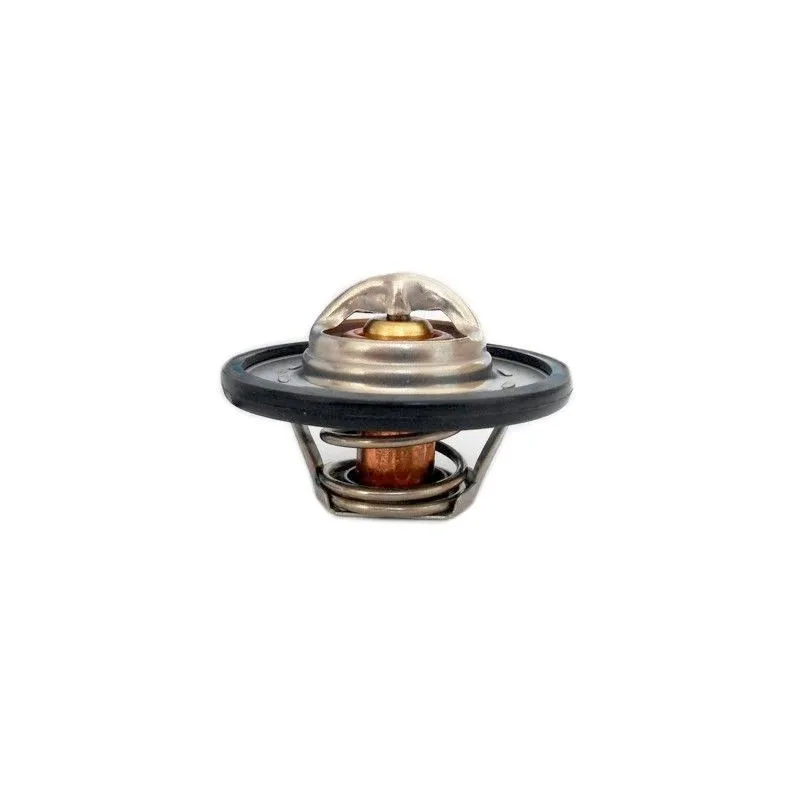 Thermostat d'eau MEAT & DORIA 92471