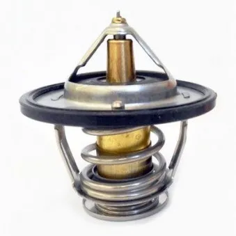 Thermostat d'eau MEAT & DORIA 92529