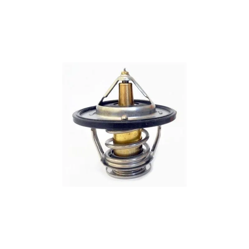 Thermostat d'eau MEAT & DORIA 92529