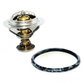Thermostat d'eau MEAT & DORIA