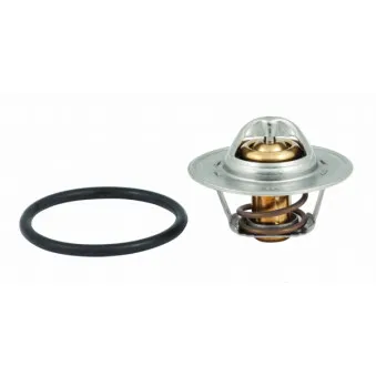 Thermostat d'eau MEAT & DORIA 92545