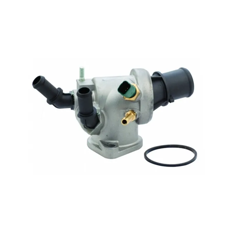 Thermostat d'eau MEAT & DORIA 92547