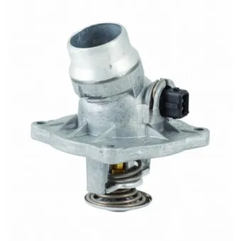 Thermostat d'eau MEAT & DORIA