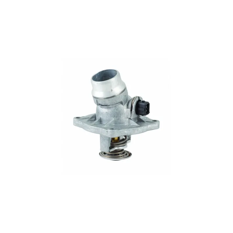 Thermostat d'eau MEAT & DORIA 92596