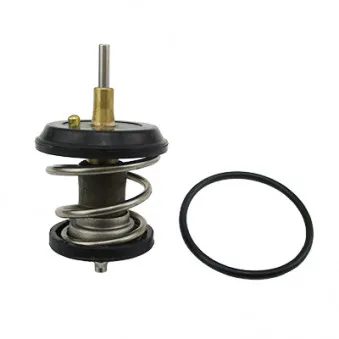 Thermostat d'eau MEAT & DORIA 92616