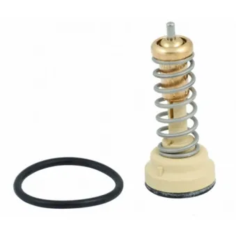 Thermostat d'eau MEAT & DORIA 92617