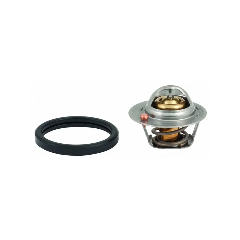 Thermostat d'eau MEAT & DORIA 92626
