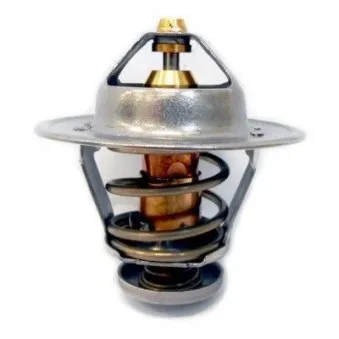 Thermostat d'eau MEAT & DORIA 92628