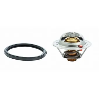 Thermostat d'eau MEAT & DORIA 92635