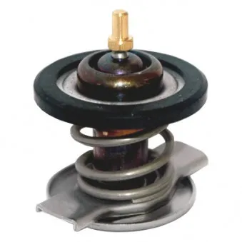Thermostat d'eau MEAT & DORIA 92677IN