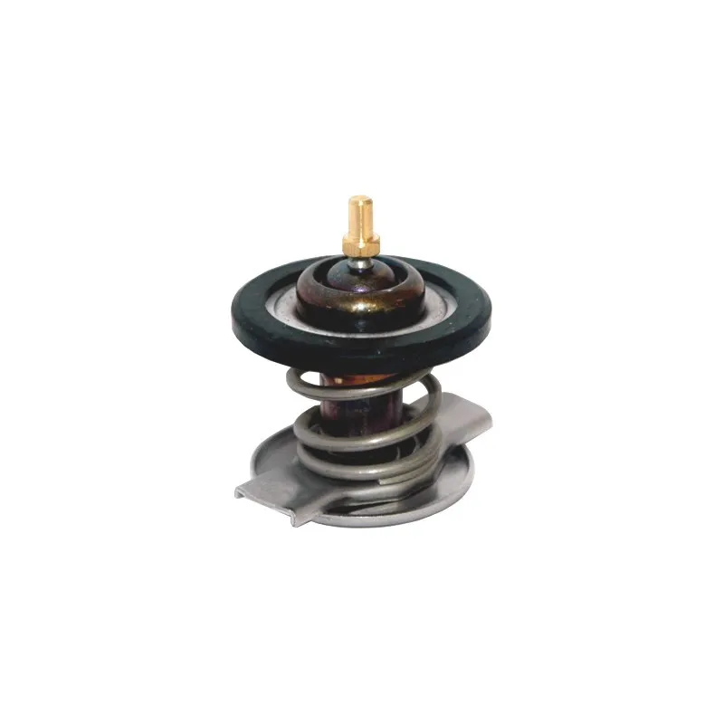 Thermostat d'eau MEAT & DORIA 92677IN