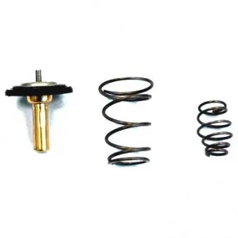 Thermostat d'eau MEAT & DORIA 92717IN