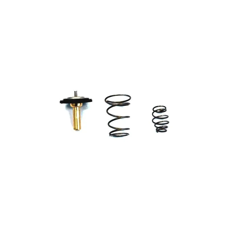 Thermostat d'eau MEAT & DORIA 92717IN