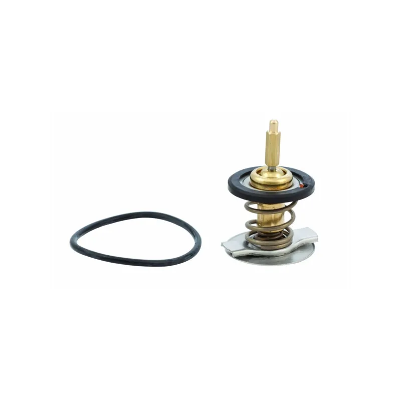 Thermostat d'eau MEAT & DORIA 92739
