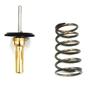 Thermostat d'eau MEAT & DORIA 92789