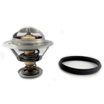 Thermostat d'eau MEAT & DORIA 92825