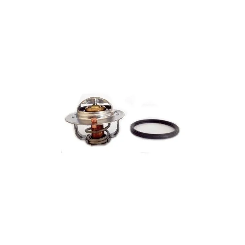 Thermostat d'eau MEAT & DORIA 92832