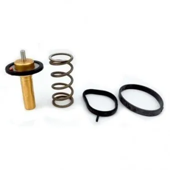 Thermostat d'eau MEAT & DORIA 92839