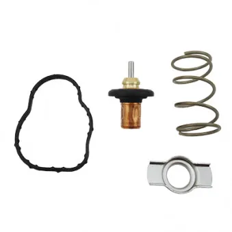 Thermostat d'eau MEAT & DORIA 92842K