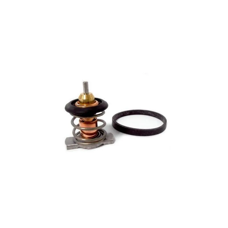 Thermostat d'eau MEAT & DORIA 92843K