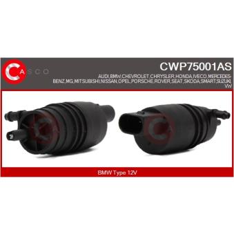 Pompe d'eau de nettoyage, nettoyage des vitres CASCO