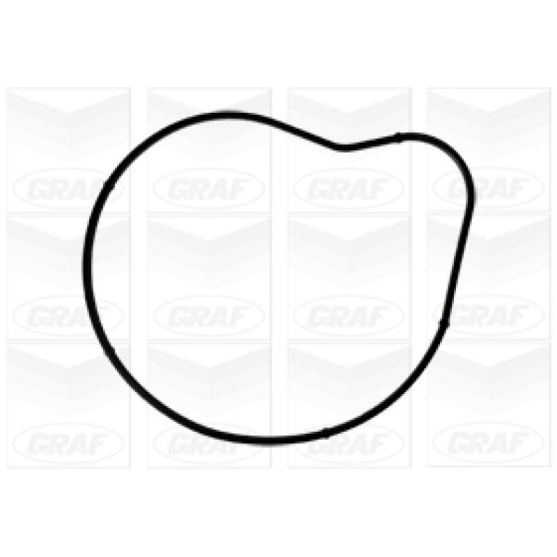 Pompe à eau GRAF PA1040 - Visuel 1