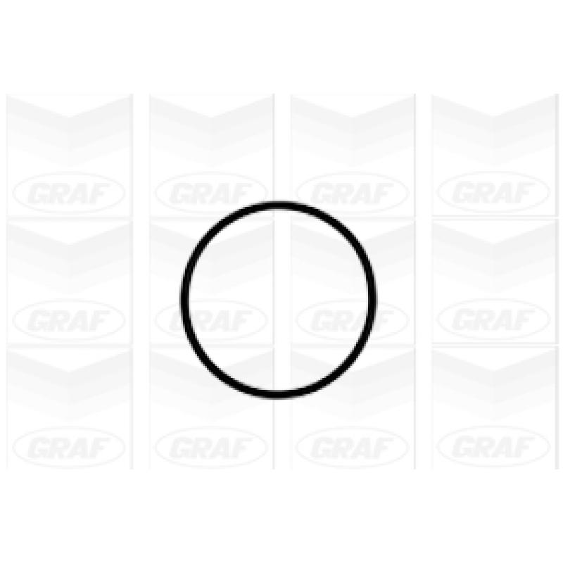 Pompe à eau GRAF PA1041 - Visuel 1