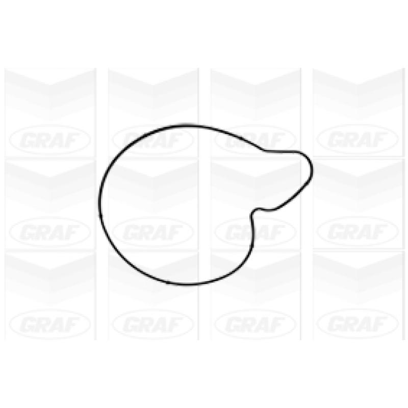 Pompe à eau GRAF PA1050 - Visuel 1