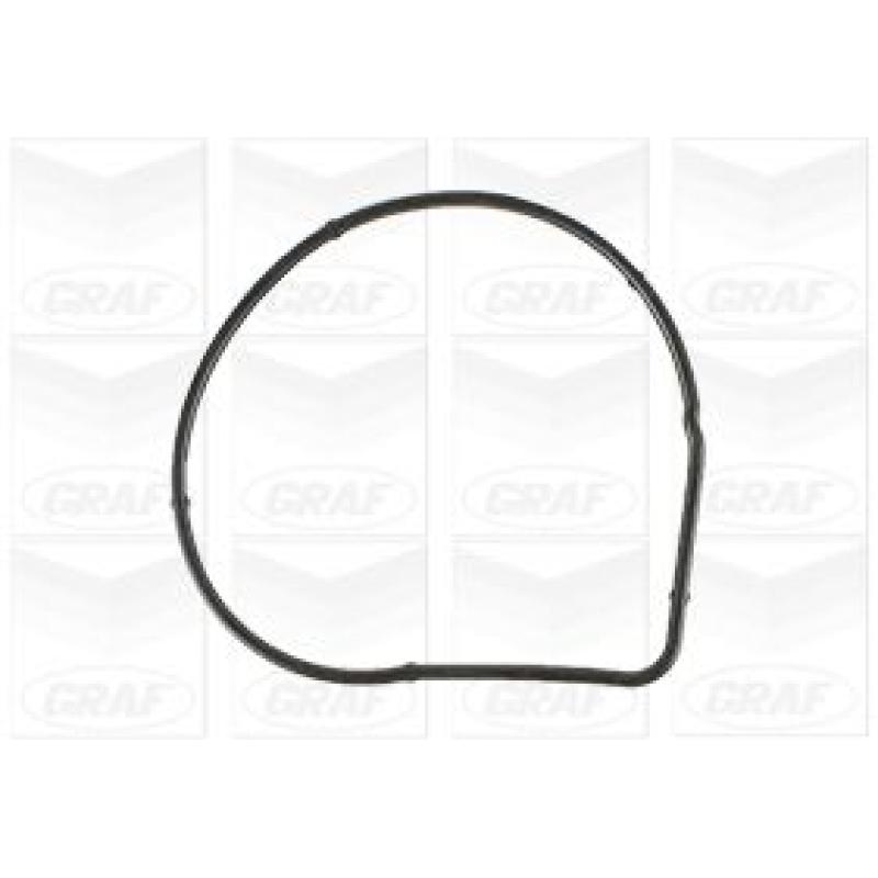 Pompe à eau GRAF PA1189 - Visuel 1