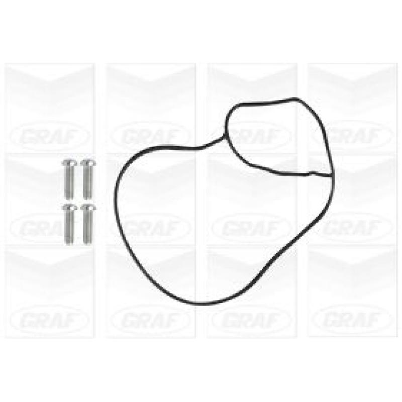 Pompe à eau GRAF PA1246 - Visuel 1