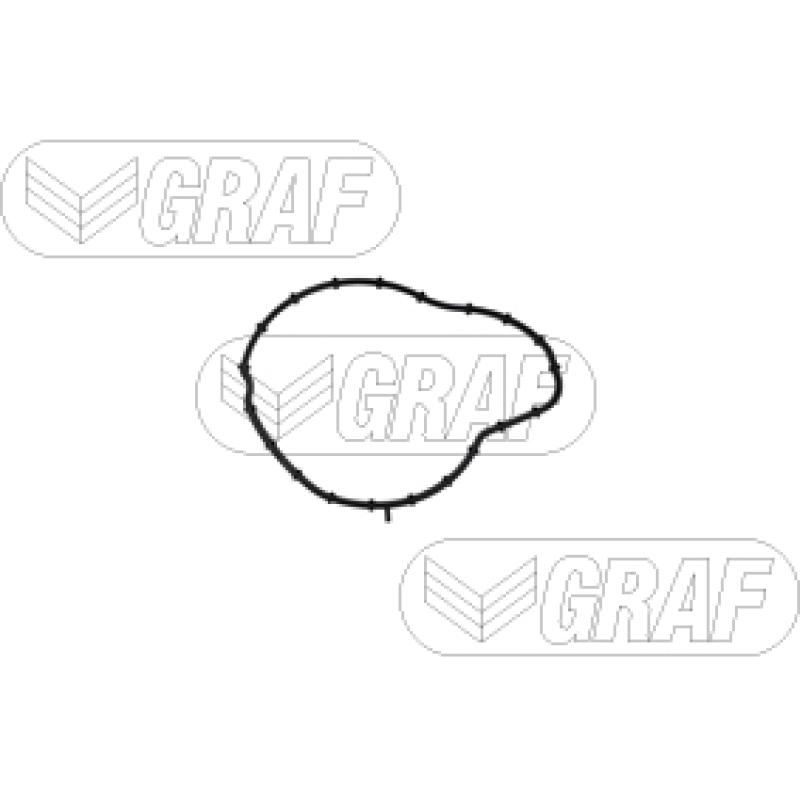 Pompe à eau GRAF PA1396 - Visuel 1