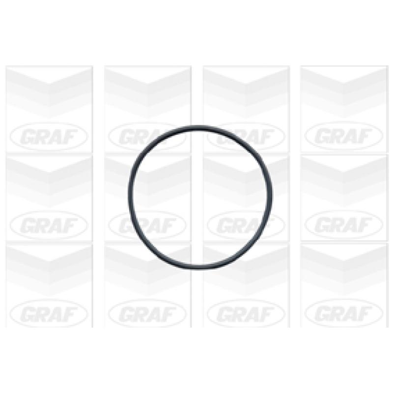 Pompe à eau GRAF PA148 - Visuel 1