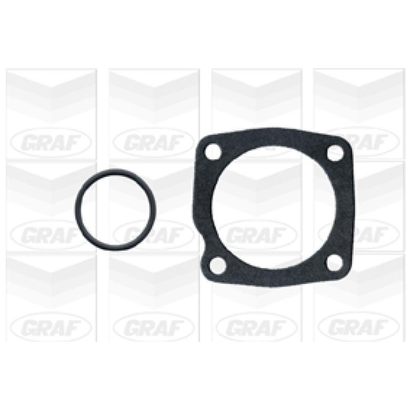 Pompe à eau GRAF PA340 - Visuel 1