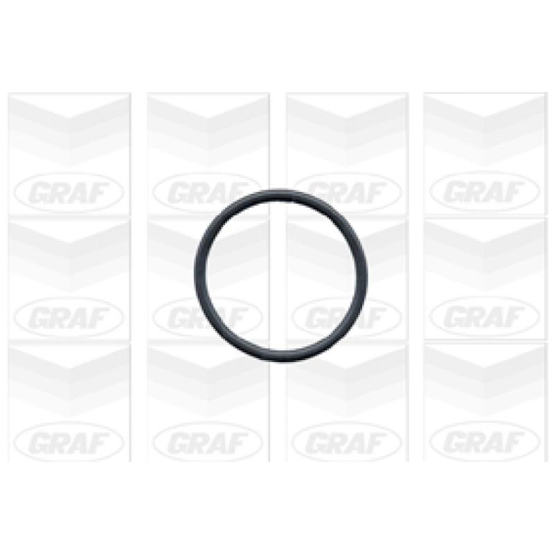 Pompe à eau GRAF PA390 - Visuel 1