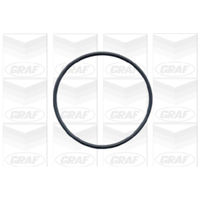 Pompe à eau GRAF PA424 - Visuel 1