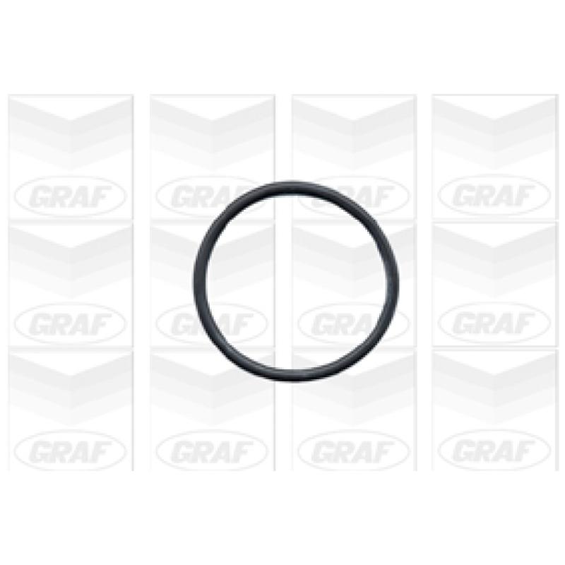 Pompe à eau GRAF PA432A - Visuel 1