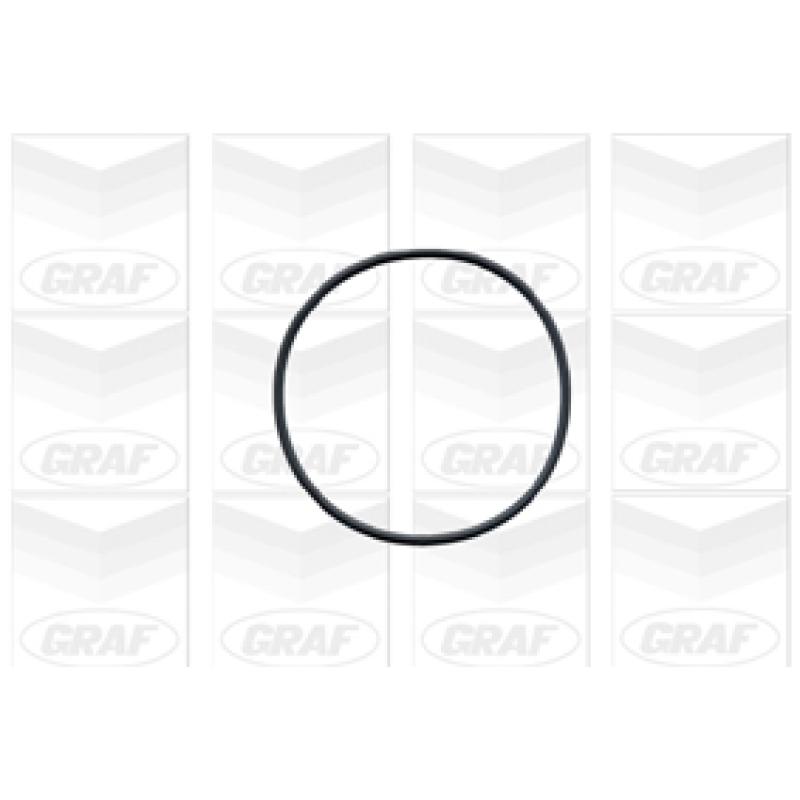 Pompe à eau GRAF PA491 - Visuel 1