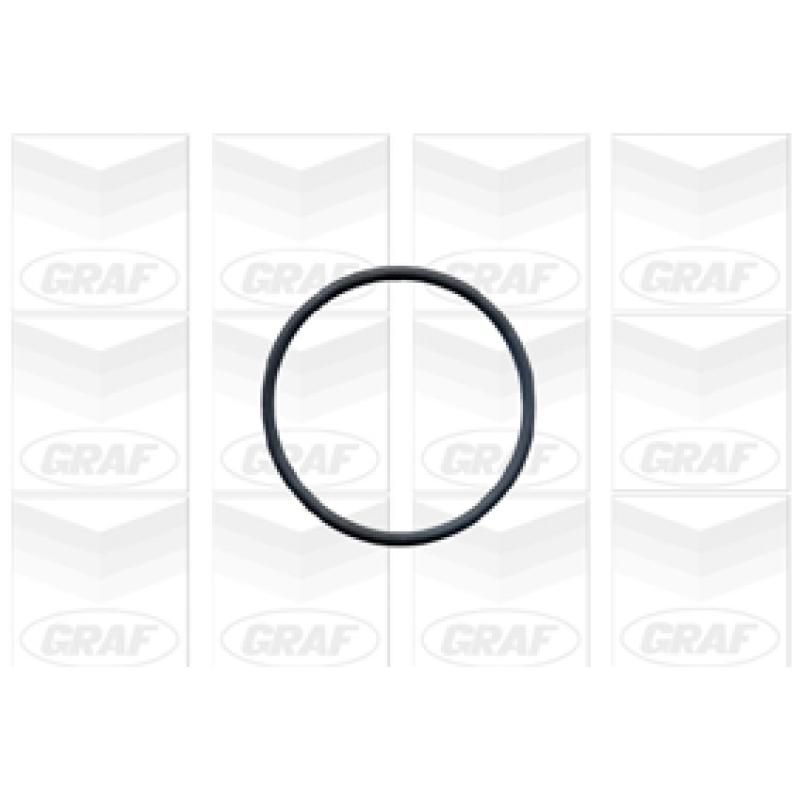 Pompe à eau GRAF PA603 - Visuel 1