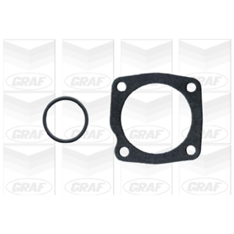 Pompe à eau GRAF PA659 - Visuel 1