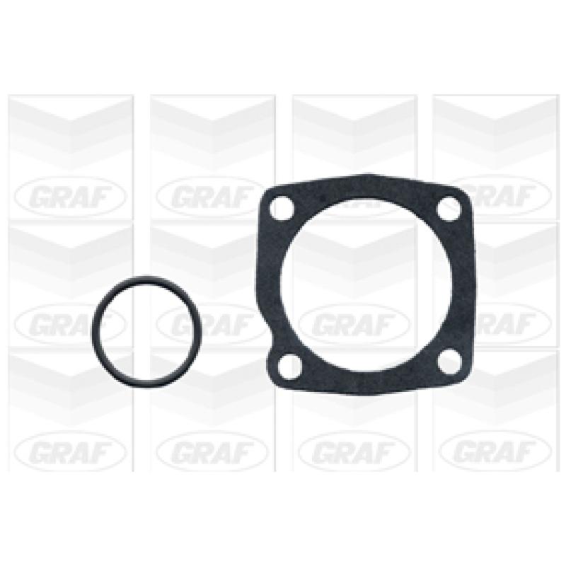 Pompe à eau GRAF PA667 - Visuel 1